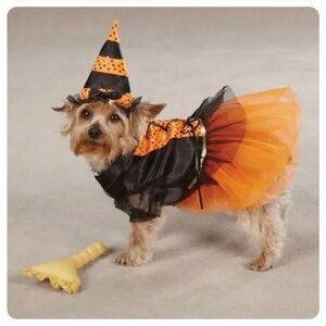 Witch costume small pets - XS.